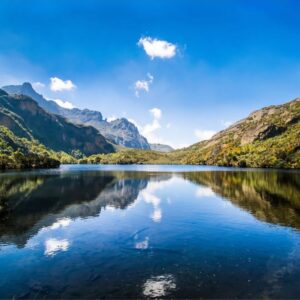 Mt Ruwenzori Hiking safari